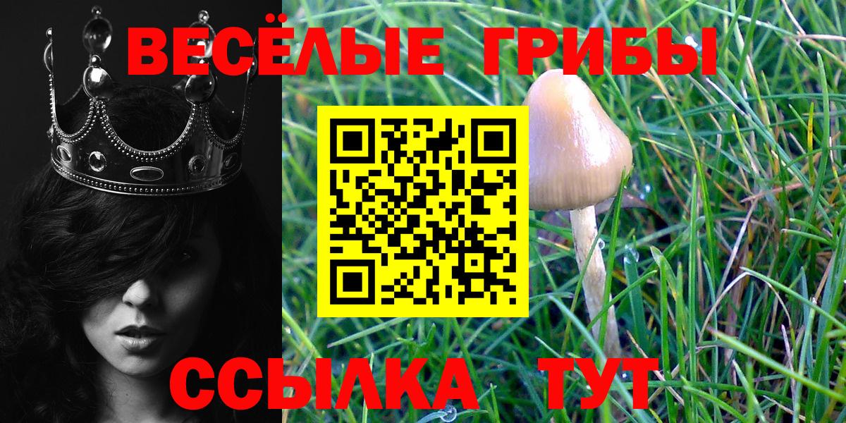 Псилоцибиновые грибы мухоморы  Галлюциногенные грибы ЛСД  Амурск  Вход с VPN 